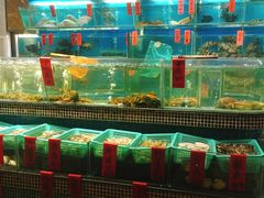 水产区-海大大蒸汽海鲜餐厅·粤菜·特色小炒(欢乐颂店)