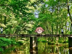 -西溪南古村落景区
