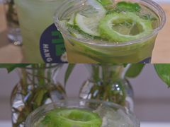 -炖物24章·顺时轻养茶(杭州大厦店)