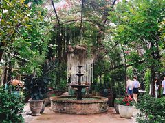 -The Grounds of Alexandria