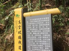 -川西竹海景区