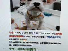 -北京恒爱动物医院(清景园分院)