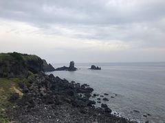 -涉地可支