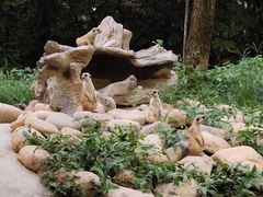 -上海野生动物园