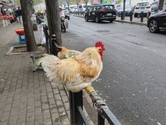 -辽B·小串(总店)