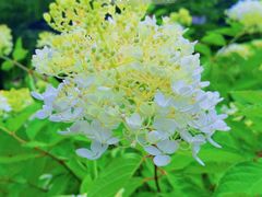 -大连冰峪旅游度假区