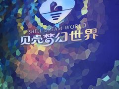 -贝壳梦幻世界