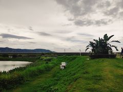 -光明小镇欢乐田园