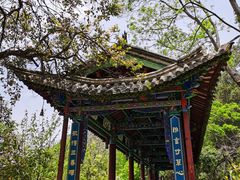-黑龙潭公园