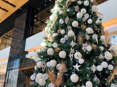 -上海龙之梦万丽酒店