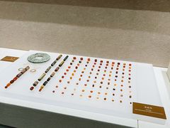 -盘龙城国家考古遗址公园