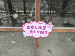 -南宫五洲植物乐园