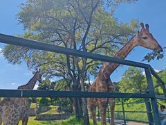 -沈阳森林动物园