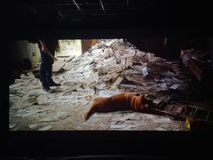 -华美国际影城(旧宫永辉店)