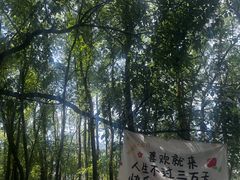 -楠溪江风景名胜区