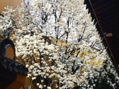 -龙华寺