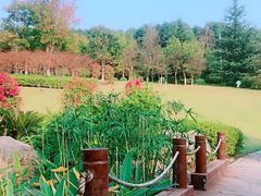 -铁山坪森林公园