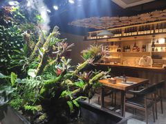 -森味薪火烧•烧鸟居酒屋•日本料理(望京店)