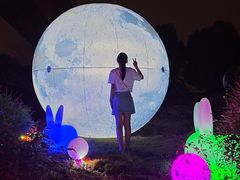 -秀丽东方