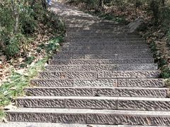 -杭州半山国家森林公园