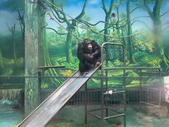 -宁波野生动物园