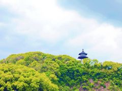 -上海佘山国家森林公园天马山园