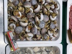 -码头鲜精致威海菜(欧乐坊店)