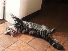 -浦东机场国航头等贵宾室