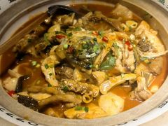 -魏铭鱼头捞饭(晋阳路店)