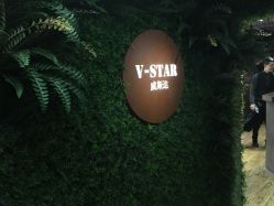 -V-STAR威斯达•高级私人定制
