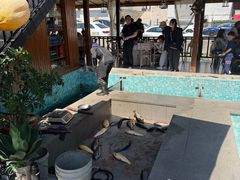 -京北渔家傲