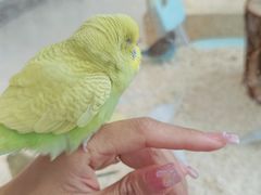 -怪兽屋·羊驼·猫咖·狗咖(俊华广场店)