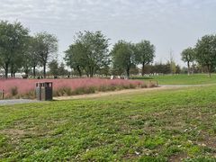 -汉长安城未央宫国家考古遗址公园