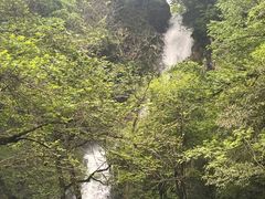 -石台牯牛降景区
