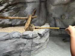 -Zoolung Zoolung动物主题公园(海信广场店)