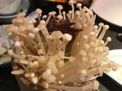 -马家斑.鲜鱼火锅(松湖万科店)