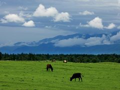 -新疆那拉提国家旅游度假区
