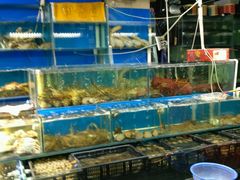 -岳各庄批发市场(西四环中路店)