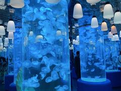 -欢乐海岸海洋奇梦馆