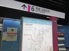 -大龙山(地铁站)