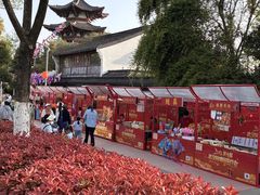-武汉园博园(武汉自然博物馆)