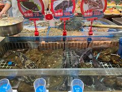 -双合园·海鲜水饺青岛菜(大尧三路店)