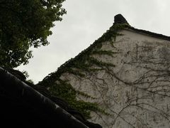 -寻宝记绍兴菜(状元店)