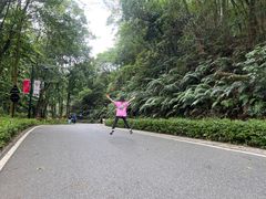 -广州市帽峰山景区