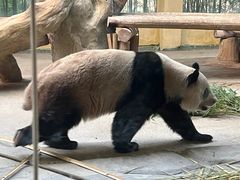 -杭州野生动物世界