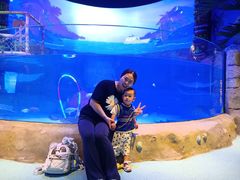 -沈阳海洋探索中心