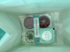 -南宋胡记(杭州灵隐寺店)