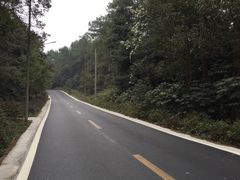 -铁山坪森林公园