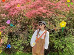 -木兰云雾山