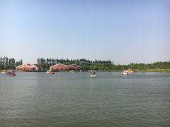 -上海长兴岛郊野公园